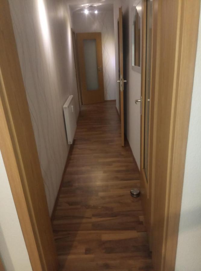 Ferienwohnung Rickyy Reichenbach im Vogtland Exterior photo